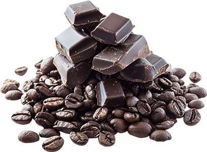 tu-dulce-bocado-bakery-cookies-chocolate-xploit